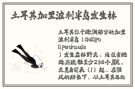 野花视频在线观看免费版6